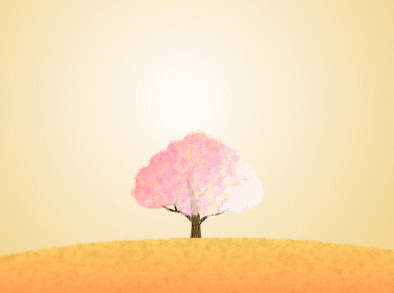 光輝く桜の丘