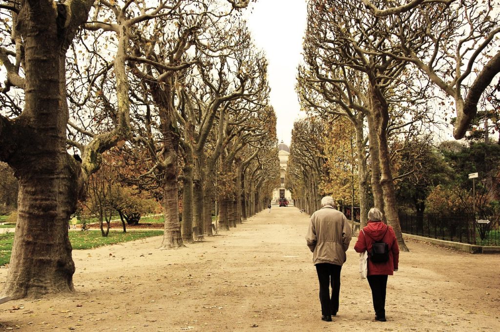 パリの散歩道