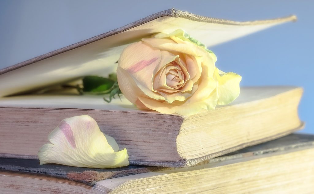 本と薔薇